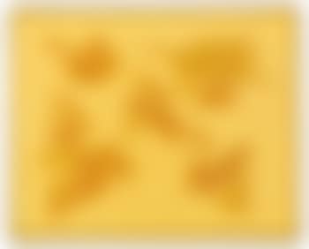 Cangiante giallo ,
1982 (preview)