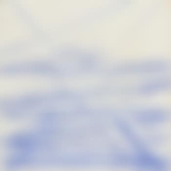 Colour line XXI ,
2006 (preview)