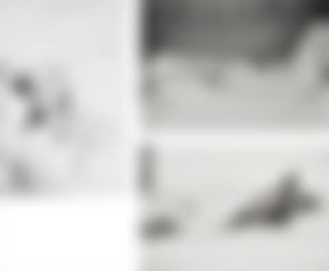 Selected Images (preview)
