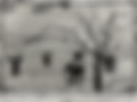 Untitled (Elephants) (preview)