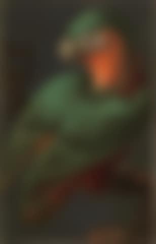 Two parrots (preview)