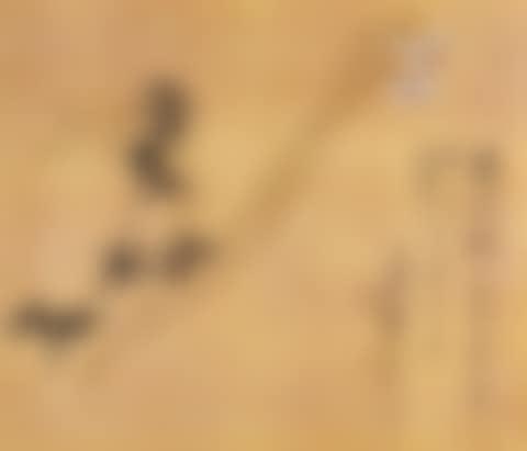 Bamboo and Narcissus (preview)