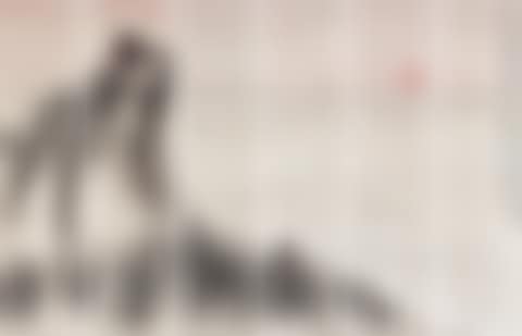 Sunset (preview)