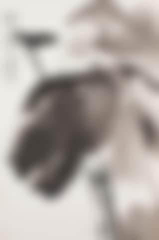 Lotus (preview)