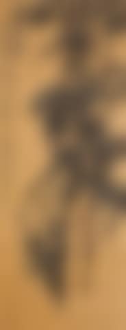 Pine Tree (preview)