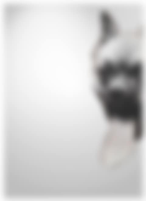 Boxer (preview)