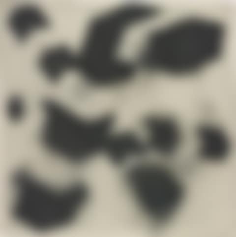 Constellation (preview)
