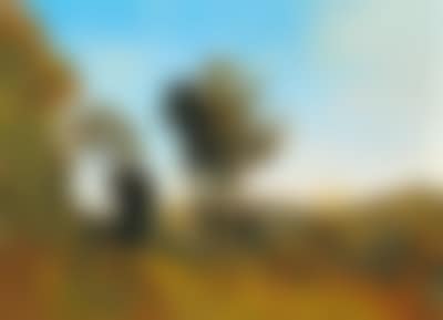 Edge of the forest near Purkersdorf (preview)