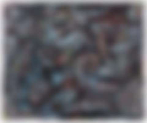 Schuw Beest (Shy Animal) (preview)