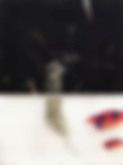 HAVE A BLACK BOX NO. 8 (preview)