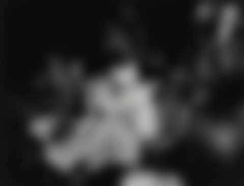 WEEGEE PORTFOLIO (PORTFOLIO OF 45 PHOTOGRAPHS) (preview)