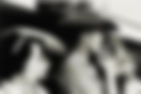 DETROIT RODEO' (preview)