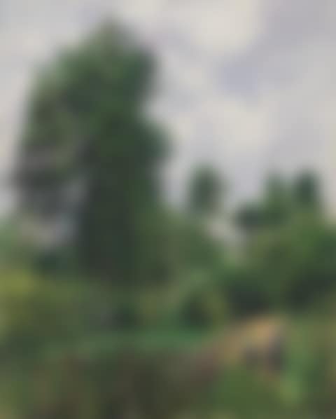 Paysage avec peupliers, temps gris, Eragny (preview)