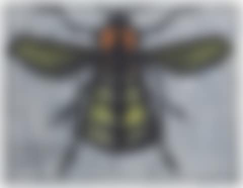 Mouche (preview)