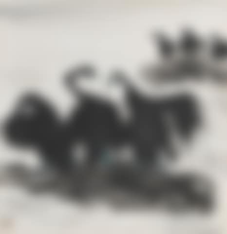 Six Cormorants (preview)