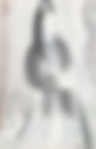 Lady (preview)