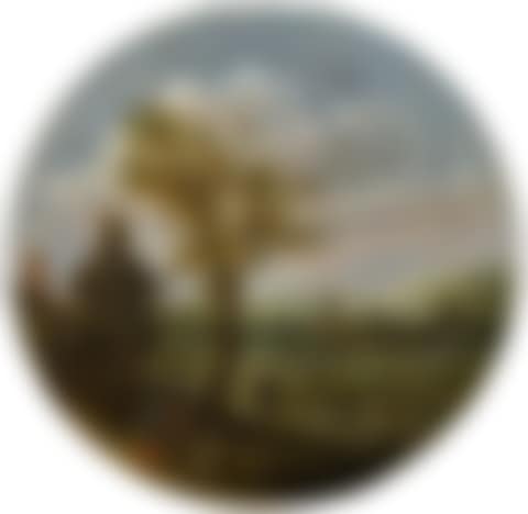SUMMER LANDSCAPE WITH AN OLD TREE (preview)