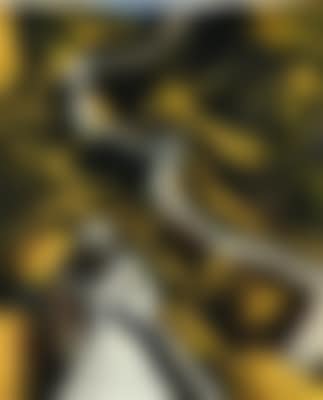 Yellow-gray Chinese wall (preview)