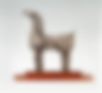 Piccolo cavallo (preview)