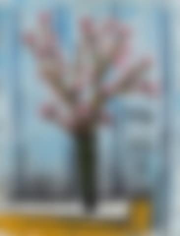 Branches de cerisiers en fleurs (preview)