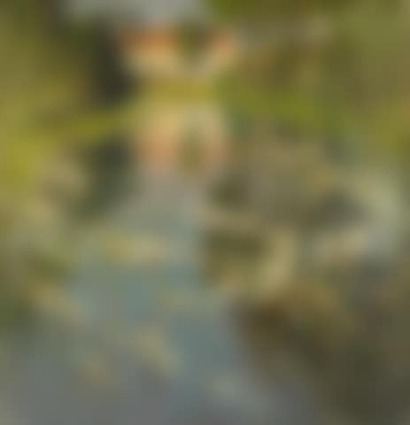 Sur les bords du Ruisseau (preview)