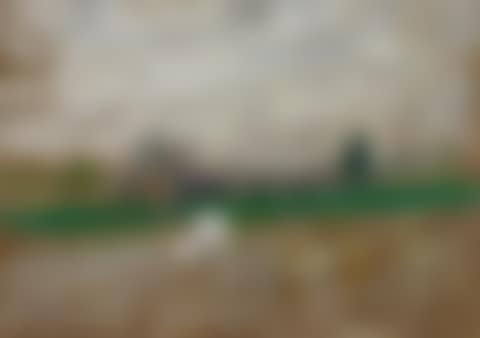 Champ de Course (preview)