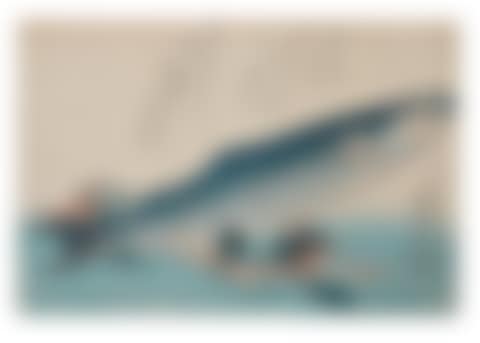 bora, tsubaki and udo (grey mullet, camellia and udo) (preview)