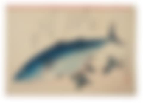 katsuo and sakura (bonito and cherries) (preview)