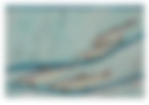 ayu (trout) (preview)