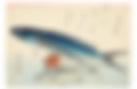 tobiuo, ishimochi and yuri (flying fish, ishimochi and lily) (preview)