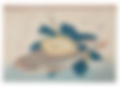 konohagarei, kanagashira and sasa (flounder and two gunnards with bamboo leaves) (preview)