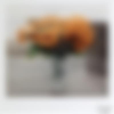 Rosen (preview)