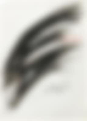 “Rauschprofil” (preview)