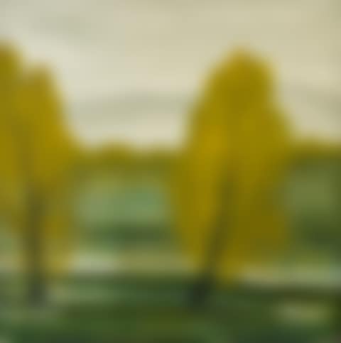SPRING SCENERY (preview)