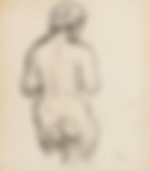 NUDE TORSO FROM THE REAR (preview)