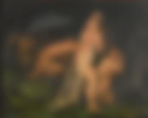 SATYRES ET NYMPHES (preview)