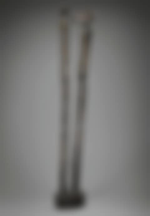LES ASPERGES DE LA LUNE (preview)