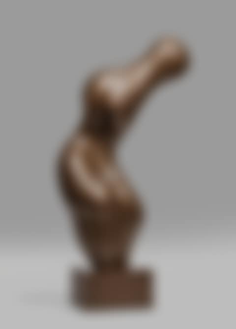 TORSE GERBE (preview)
