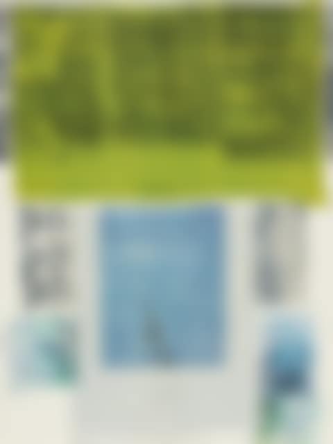 Shoot from a Main Stem (preview)