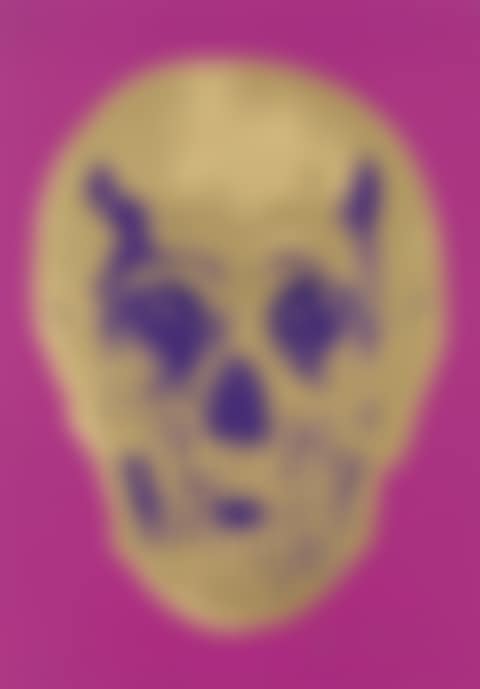 Till Death Do Us Part--long Life Purple African Gold Purple Imperial Purple Skull (preview)