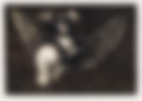 Disparate Volante (preview)