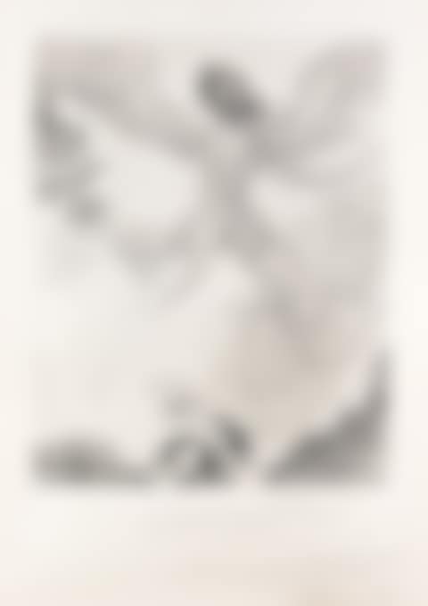 Icarus (preview)