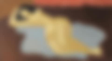 Sleeping Nude (preview)