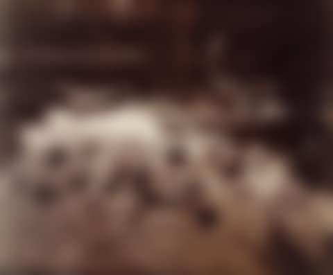 Nymphéa (preview)