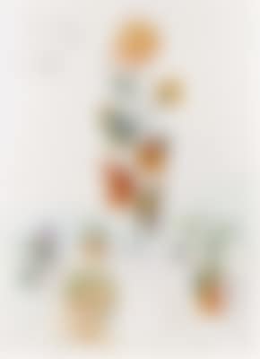 Flordali II (preview)