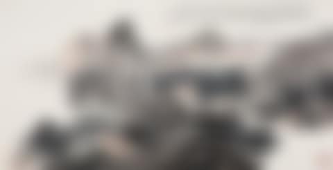REMOTE VILLAGE (preview)