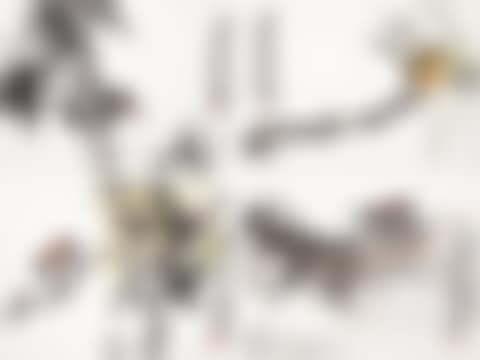 BIRDS AND FLOWERS (preview)