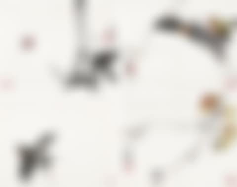 BIRDS,FLOWERS AND INSECTS (preview)