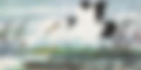 Double Cranes (preview)