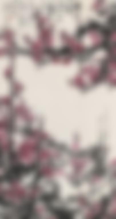 Spring (preview)